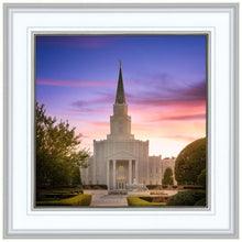 Load image into Gallery viewer, Houston Walk in the Light
