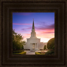 Load image into Gallery viewer, Houston Walk in the Light

