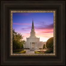 Load image into Gallery viewer, Houston Walk in the Light
