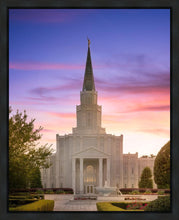 Load image into Gallery viewer, Houston Walk in the Light

