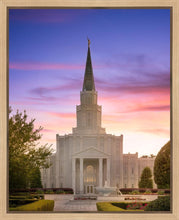 Load image into Gallery viewer, Houston Walk in the Light
