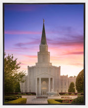 Load image into Gallery viewer, Houston Walk in the Light

