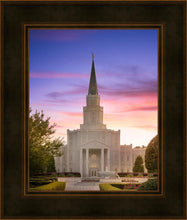 Load image into Gallery viewer, Houston Walk in the Light
