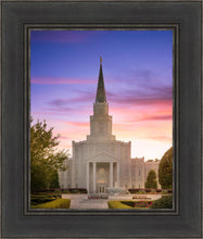 Load image into Gallery viewer, Houston Walk in the Light
