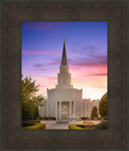 Load image into Gallery viewer, Houston Walk in the Light
