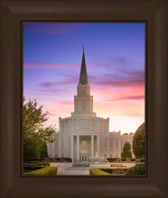 Load image into Gallery viewer, Houston Walk in the Light
