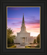 Load image into Gallery viewer, Houston Walk in the Light
