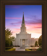 Load image into Gallery viewer, Houston Walk in the Light
