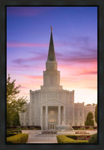 Load image into Gallery viewer, Houston Walk in the Light
