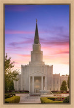 Load image into Gallery viewer, Houston Walk in the Light
