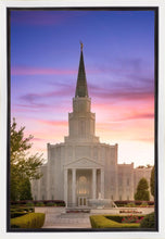 Load image into Gallery viewer, Houston Walk in the Light

