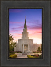 Load image into Gallery viewer, Houston Walk in the Light
