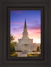 Load image into Gallery viewer, Houston Walk in the Light
