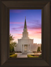 Load image into Gallery viewer, Houston Walk in the Light
