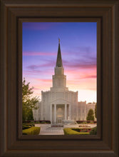 Load image into Gallery viewer, Houston Walk in the Light
