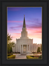 Load image into Gallery viewer, Houston Walk in the Light
