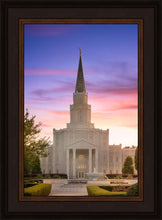 Load image into Gallery viewer, Houston Walk in the Light
