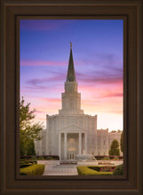 Load image into Gallery viewer, Houston Walk in the Light
