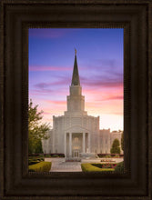 Load image into Gallery viewer, Houston Walk in the Light
