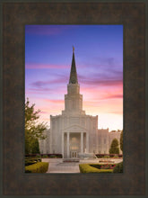 Load image into Gallery viewer, Houston Walk in the Light

