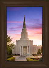 Load image into Gallery viewer, Houston Walk in the Light
