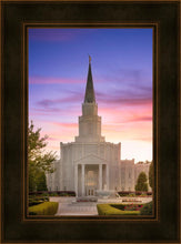 Load image into Gallery viewer, Houston Walk in the Light

