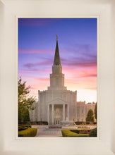 Load image into Gallery viewer, Houston Walk in the Light
