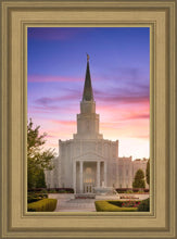 Load image into Gallery viewer, Houston Walk in the Light

