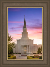 Load image into Gallery viewer, Houston Walk in the Light
