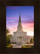 Load image into Gallery viewer, Houston Walk in the Light

