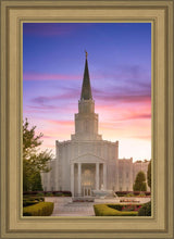Load image into Gallery viewer, Houston Walk in the Light
