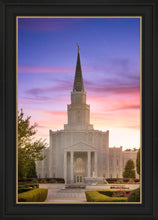 Load image into Gallery viewer, Houston Walk in the Light
