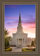 Load image into Gallery viewer, Houston Walk in the Light
