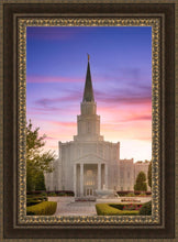 Load image into Gallery viewer, Houston Walk in the Light
