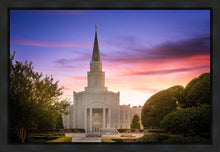 Load image into Gallery viewer, Houston Walk in the Light
