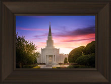 Load image into Gallery viewer, Houston Walk in the Light
