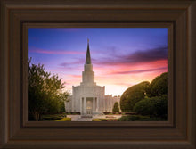 Load image into Gallery viewer, Houston Walk in the Light
