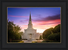 Load image into Gallery viewer, Houston Walk in the Light
