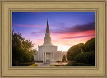 Load image into Gallery viewer, Houston Walk in the Light
