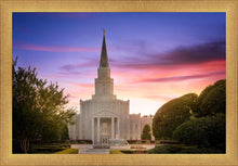 Load image into Gallery viewer, Houston Walk in the Light
