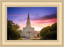 Load image into Gallery viewer, Houston Walk in the Light

