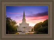 Load image into Gallery viewer, Houston Walk in the Light
