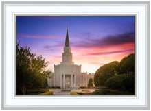 Load image into Gallery viewer, Houston Walk in the Light
