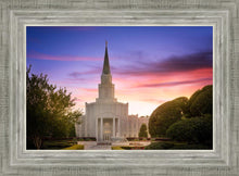 Load image into Gallery viewer, Houston Walk in the Light
