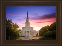 Load image into Gallery viewer, Houston Walk in the Light
