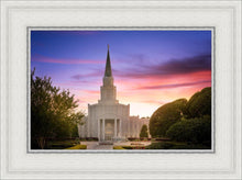 Load image into Gallery viewer, Houston Walk in the Light
