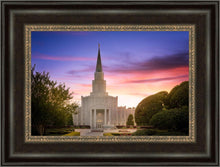 Load image into Gallery viewer, Houston Walk in the Light
