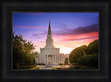 Load image into Gallery viewer, Houston Walk in the Light
