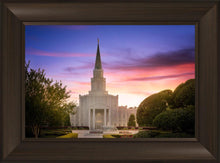 Load image into Gallery viewer, Houston Walk in the Light
