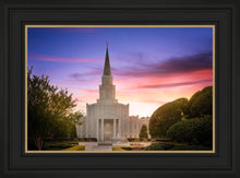 Load image into Gallery viewer, Houston Walk in the Light
